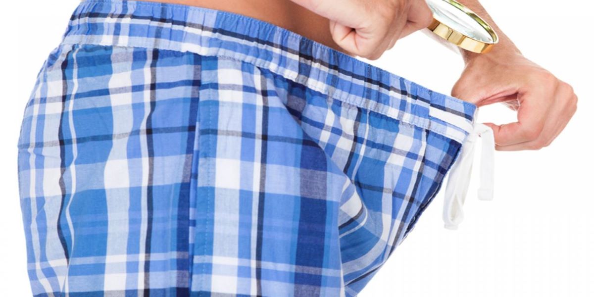 ERECTION FACTS